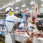 Titular del MIC destaca la conquista de nuevos mercados y la industrialización de los granos