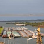 Productos paraguayos conquistan nuevos mercados con diversas exportaciones