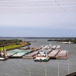 Más de USD 500 millones sumaron las principales exportaciones industriales al cierre de julio