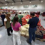 ¿Qué productos pueden ofrecer las Mipymes a los proveedores del Programa Hambre Cero?