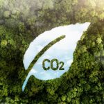 Paraguay, con potencial para ser un “país verde” y aprovechar demanda mundial de créditos de carbón