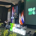 La canola como una alternativa sostenible y de alto valor exportador