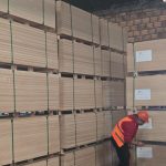 Empresa nacional exporta madera contrachapada a Italia y proyecta expandirse en Europa