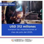 Importaciones de Materia Prima superan los USD 310 millones al cierre de julio