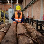 Empresario destaca el impacto de la visita de Peña a Finlandia en la industria forestal paraguaya