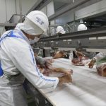 Carne a Filipinas: la ASEAN se abre como nuevo mercado de exportación con demanda de USD 1.600 millones en proteínas