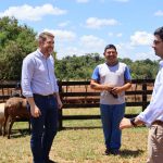 Apertura de mercados impulsa genética ovina y desarrollo porcino para exportaciones