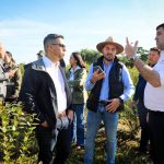 Visita técnica en Guairá apunta a fortalecer nuevos rubros agrícolas con potencial exportador