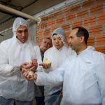 Inversión avícola impulsa empleo y valor agregado en Campo 9