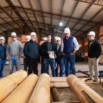 Industria forestal paraguaya gana mercados con exportaciones de madera a Europa