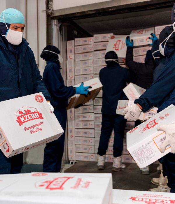 WhatsApp Image 2025-11-19 at 13.38.45