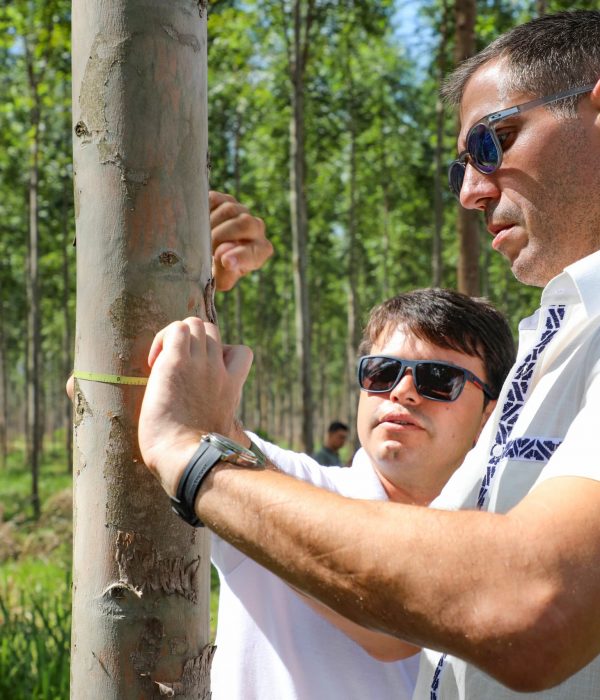 WhatsApp Image 2025-12-04 at 15.39.13