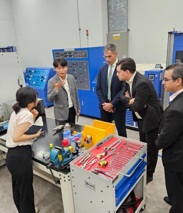 WhatsApp Image 2025-12-04 at 15.39.25